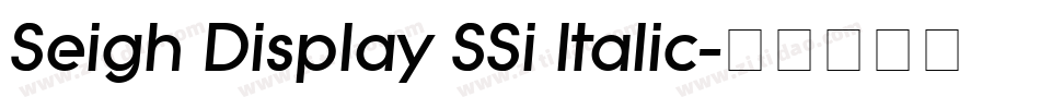 Seigh Display SSi Italic字体转换